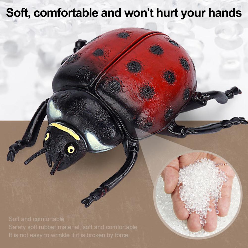 Realistic Stag Beetle Figurine - Science Nature 评论和价格