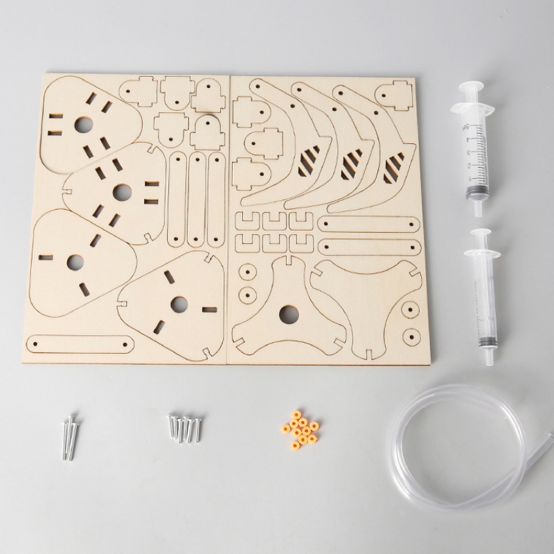 DIY Stem Piston Hydraulic Mech - Science Nature 评论和价格